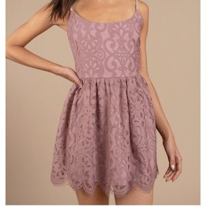 Tobi lace skater dress, brand new, w/tags